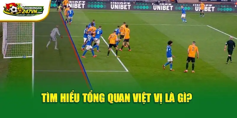 Tìm hiểu tổng quan việt vị là gì?