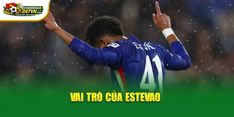 Vai trò của Estevao